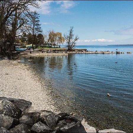 A 6 Mns De La Station De Ski Crozet, Proche Geneve Chevry  Exteriér fotografie