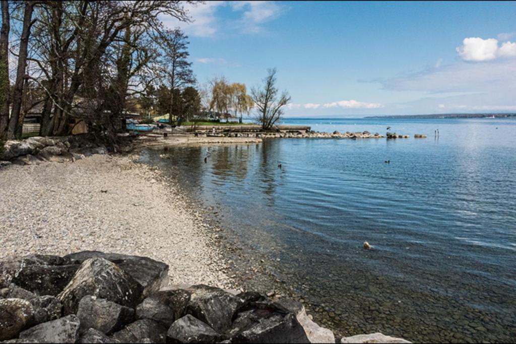 A 6 Mns De La Station De Ski Crozet, Proche Geneve Chevry  Exteriér fotografie